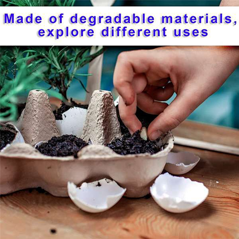 Travel Accessories Market - Kitchen Accessories 50 Pieces Paper Egg