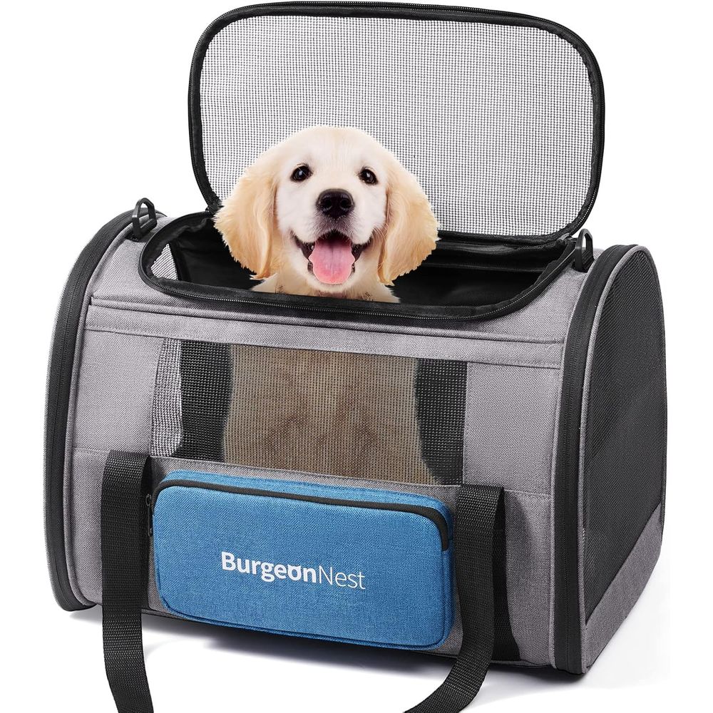 Cat Carrier for Large Cats 20  – Travel Accessories Under $25 recenzja i cena